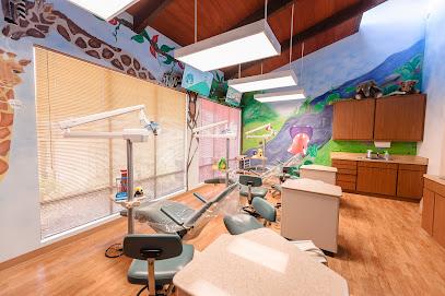 Little Koala Pediatric Dentistry - Pediatric dentist in Union City, CA