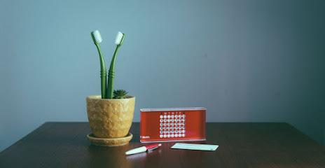 little house dentistry - General dentist in Austin, TX