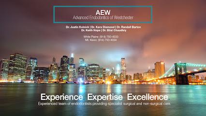 Advanced Endodontics of Westchester PLLC - General dentist in West Harrison, NY