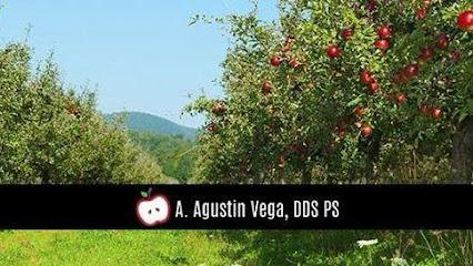 A. Agustin Vega, DDS PS - General dentist in Olympia, WA