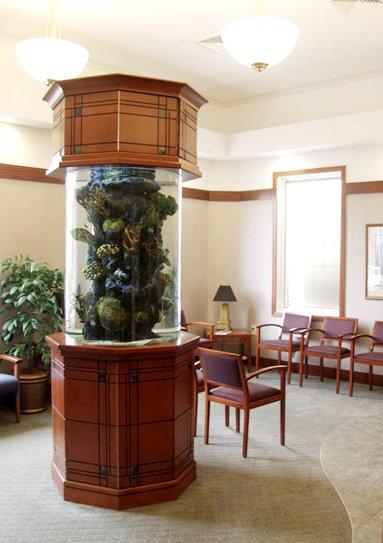 Alex Bell Dental - General dentist in Dayton, OH