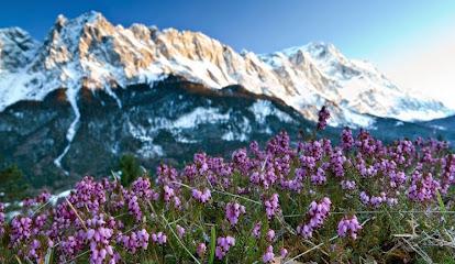 Altitude Dental - Cosmetic dentist in Denver, CO