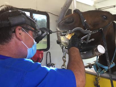 Advanced Equine Dentistry Inc - General dentist in Dade City, FL